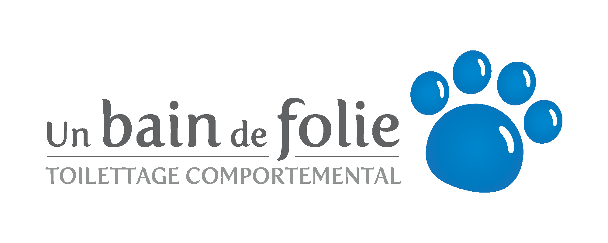 logo bain de folie